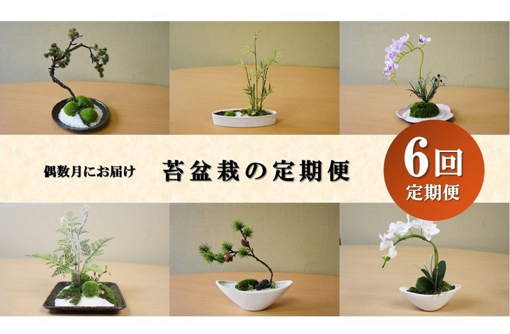 【偶数月にお届け】和モダン 苔盆栽の6回定期便