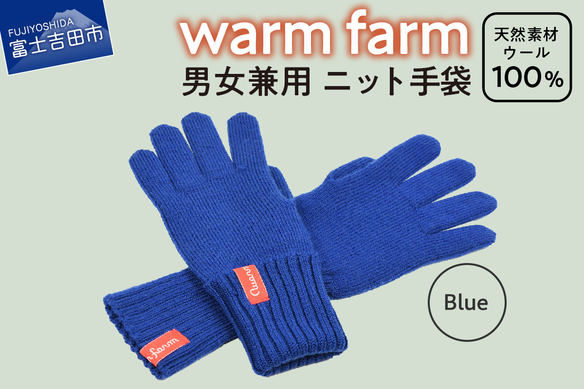 光吸収発熱ウール「ウォームファーム　ニット手袋」ブルー